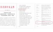 学校荣获2019年度“全国五四红旗团委”荣誉称号